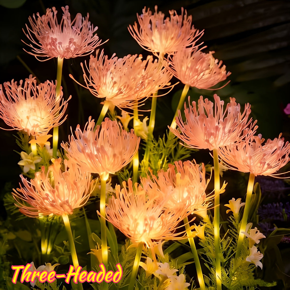 Variant Image