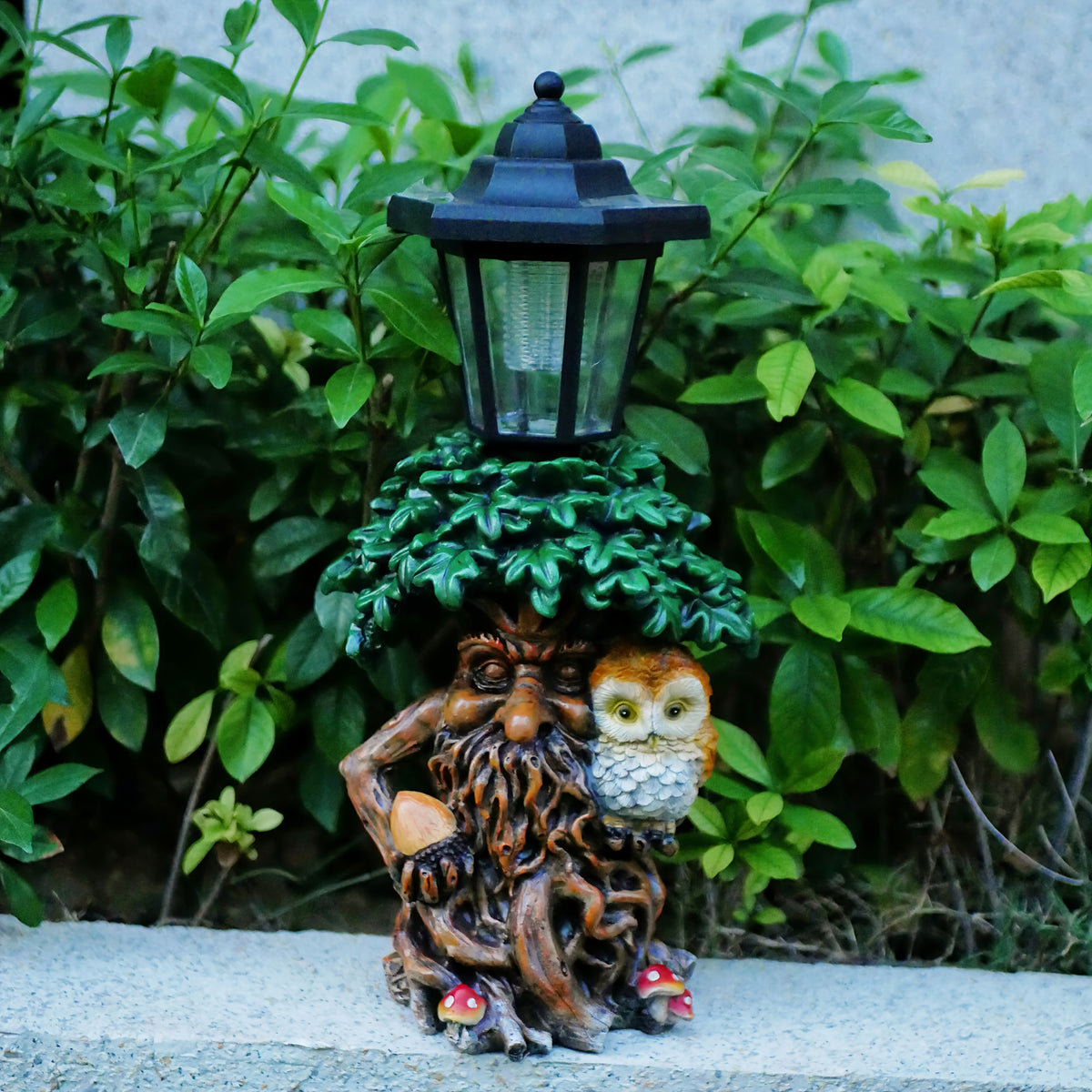 description_selected0 Image