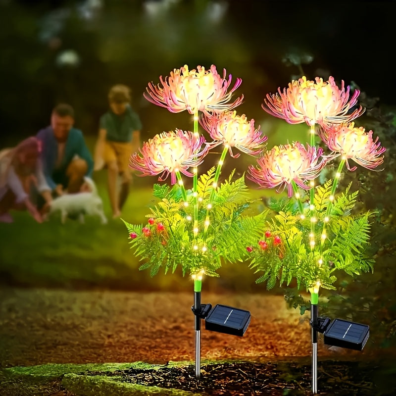 description_selected1